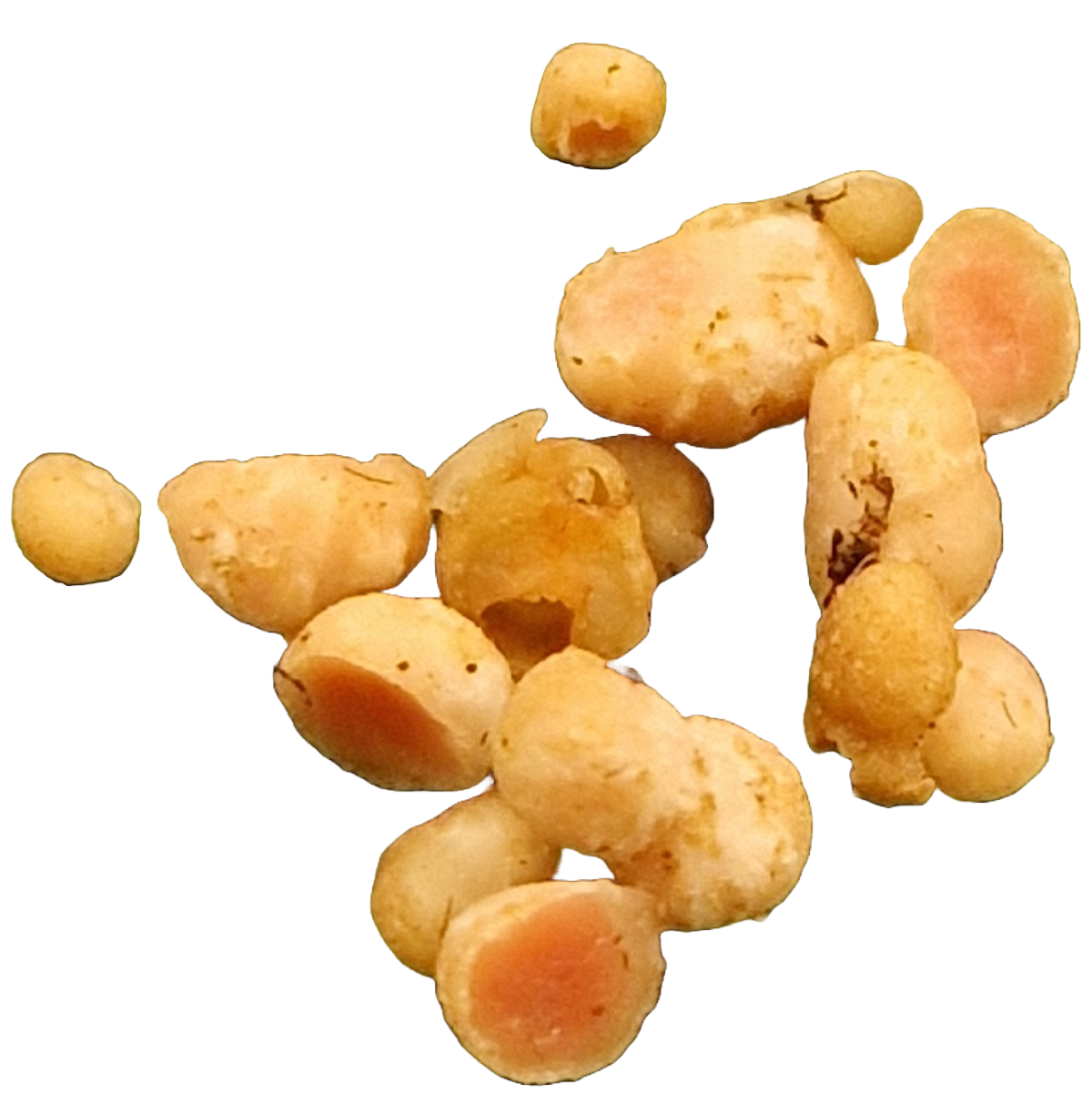 Nodules_frilagd_lo