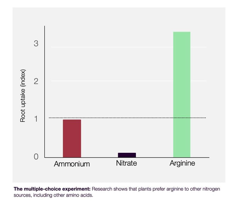 arevo-arginine-preferred-by-plants